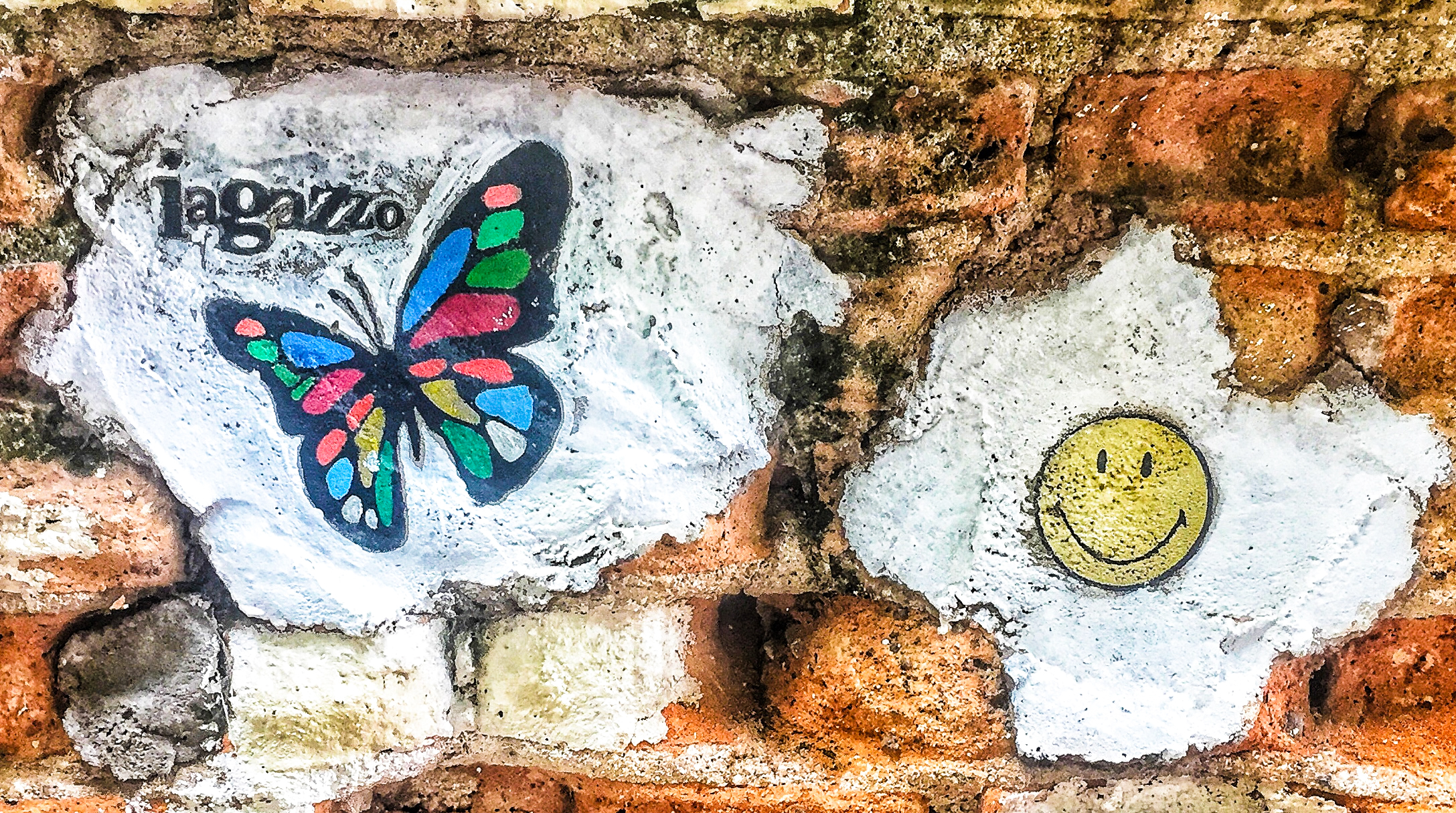 Street art butterfly