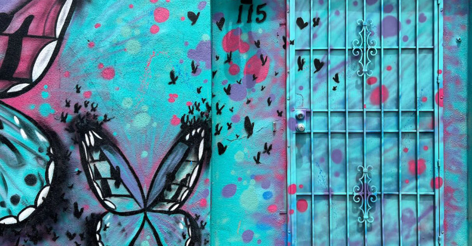 Street art butterflies painted on aqua wall outdoors